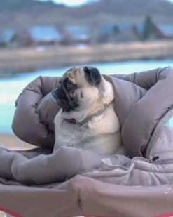 Dog Ofuton Sleeping Bag
