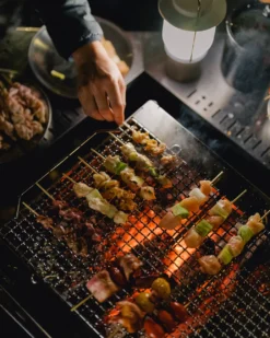 Fireplace Grill L