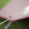 Polypropylene Rope Pro. 3mm