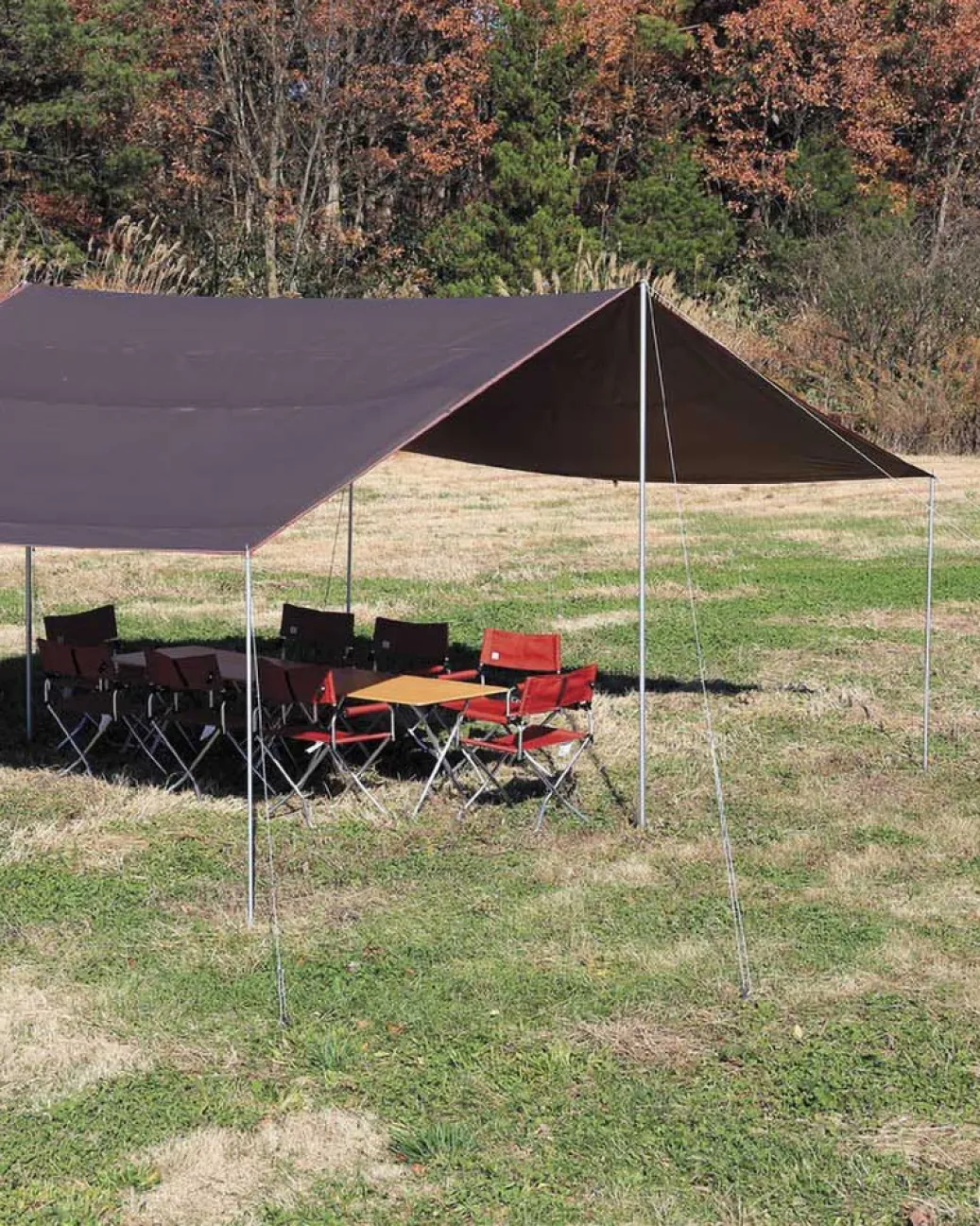 Recta Tarp M